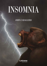 INSOMNIA